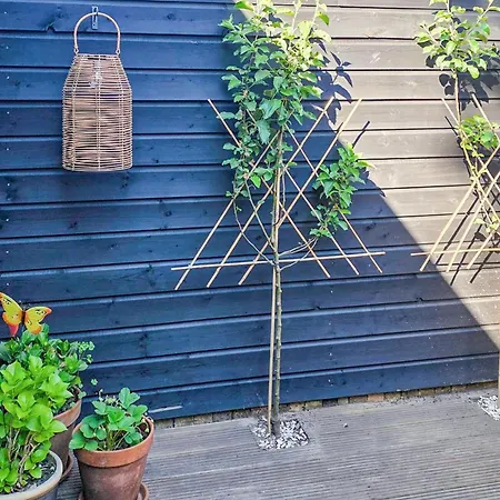 1 Bedroom Lovely In * Heiloo