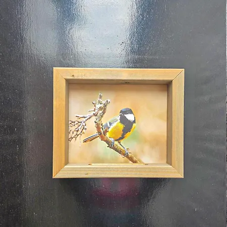 1 Bedroom Lovely In Heiloo